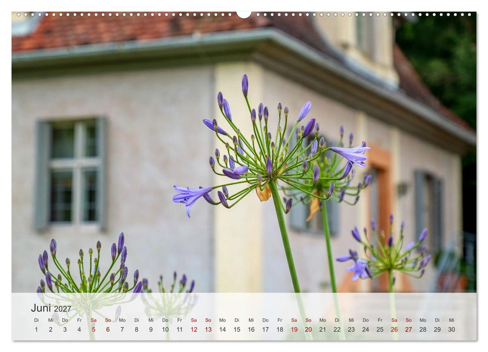 Schloss Favorite – Ein Park im Wandel der Jahreszeiten (CALVENDO Wandkalender 2027)