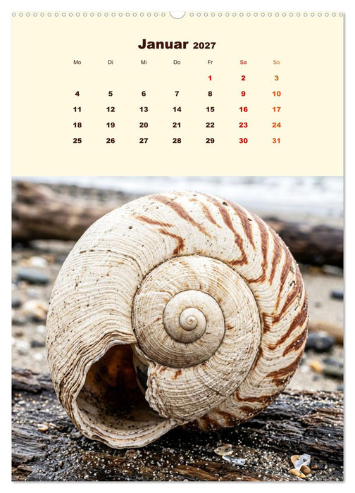 Ordnung des Lebens – Geometrie der Natur - Feine Linien, klare Formen – Natur als präzise Architektur (CALVENDO Premium Wandkalender 2027)