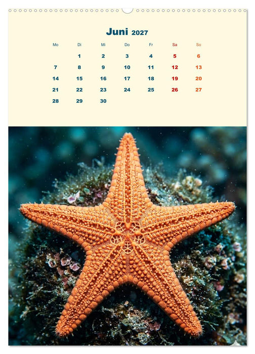 Ordnung des Lebens – Geometrie der Natur - Feine Linien, klare Formen – Natur als präzise Architektur (CALVENDO Premium Wandkalender 2027)