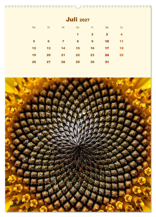 Ordnung des Lebens – Geometrie der Natur - Feine Linien, klare Formen – Natur als präzise Architektur (CALVENDO Premium Wandkalender 2027)