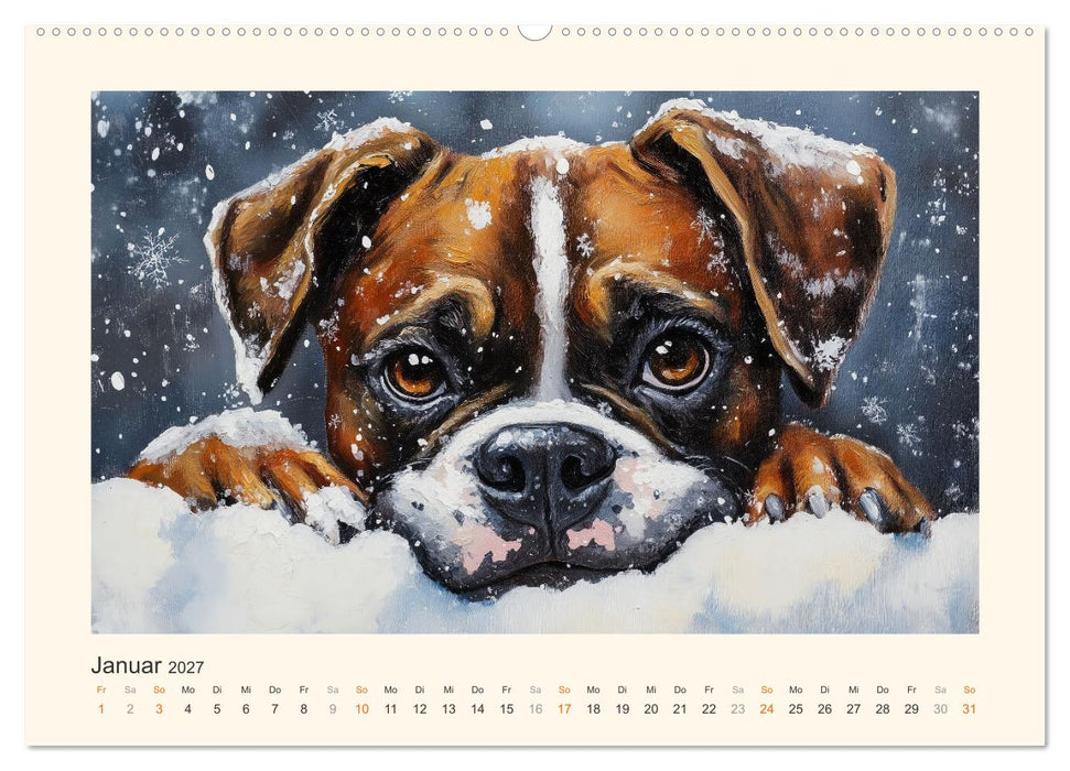 Bunte Boxer (CALVENDO Premium Wandkalender 2027)