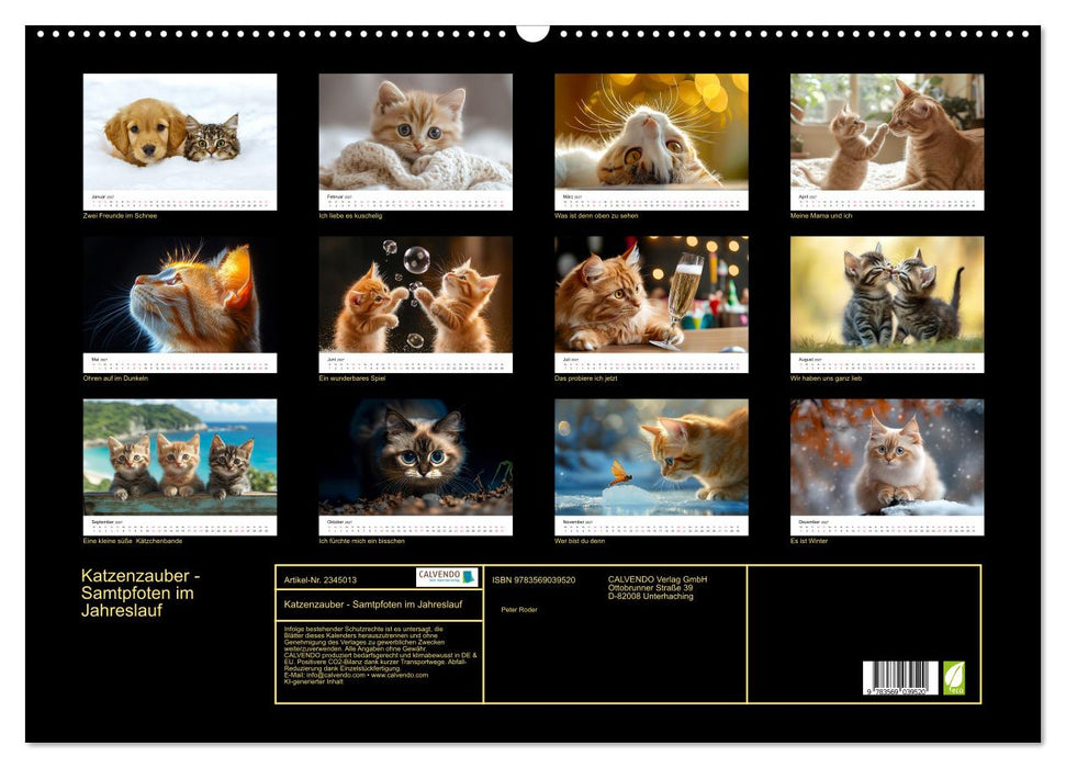Katzenzauber - Samtpfoten im Jahreslauf (CALVENDO Wandkalender 2027)