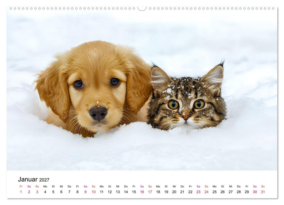Katzenzauber - Samtpfoten im Jahreslauf (CALVENDO Wandkalender 2027)