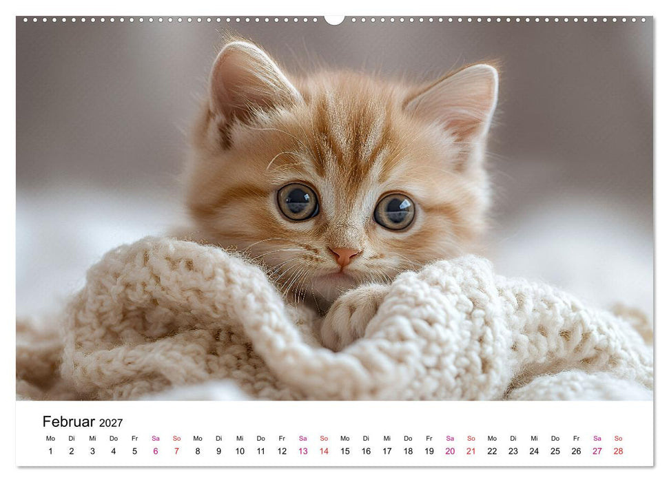 Katzenzauber - Samtpfoten im Jahreslauf (CALVENDO Wandkalender 2027)