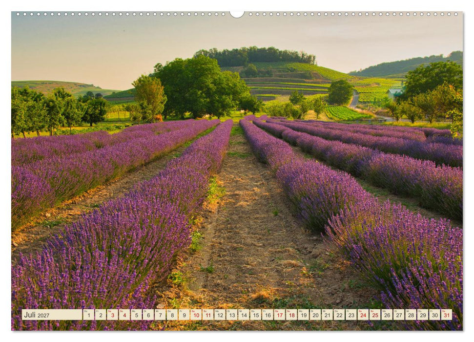 Landkreis Emmendingen - Streifzüge durch den Südwesten (CALVENDO Premium Wandkalender 2027)