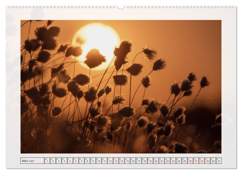 Naturpark Dümmer (CALVENDO Premium Wandkalender 2027)