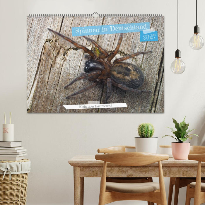 Spinnen in Deutschland (CALVENDO Wandkalender 2027)