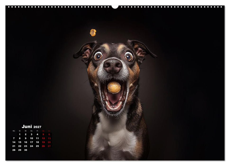 Leckerchen! (CALVENDO Wandkalender 2027)