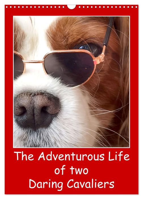 The Adventurous Life of two Daring Cavaliers (CALVENDO Monthly Calendar 2027)
