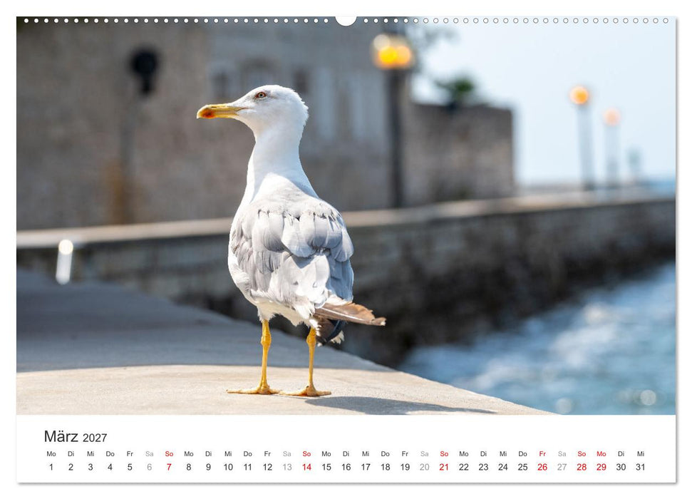 Porec Kalender - Die kroatische Stadt an der Adria (CALVENDO Wandkalender 2027)