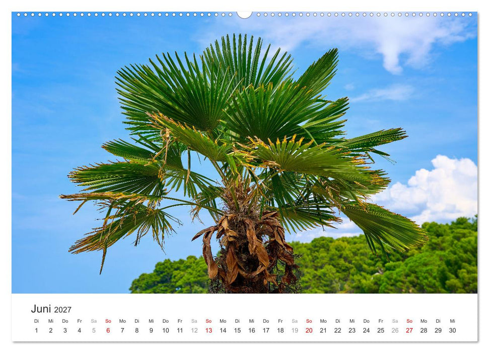 Porec Kalender - Die kroatische Stadt an der Adria (CALVENDO Wandkalender 2027)