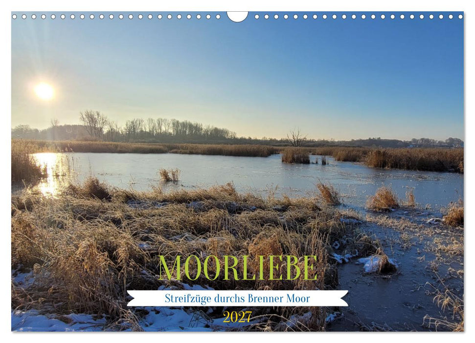 "Moorträume - Naturschönheit in Bildern" (CALVENDO Wandkalender 2027)