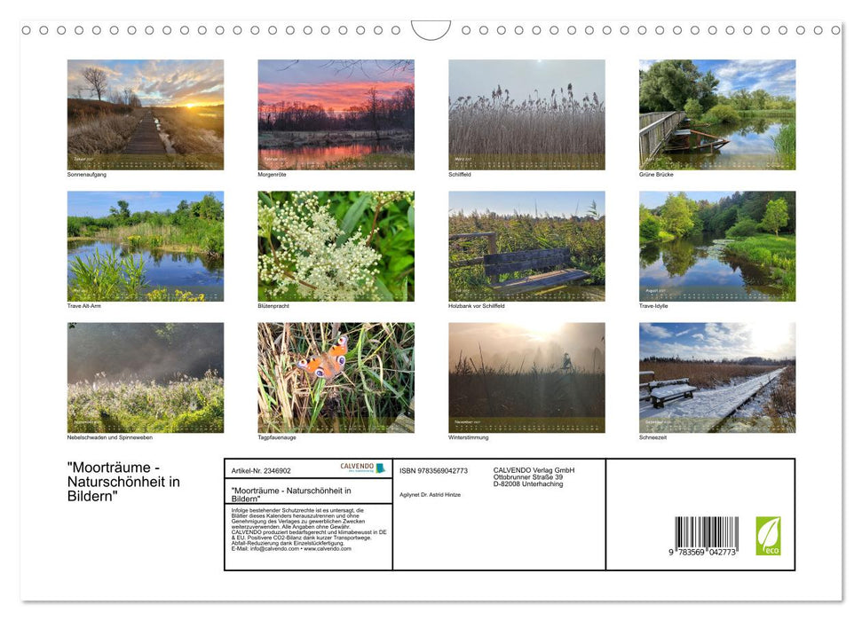 "Moorträume - Naturschönheit in Bildern" (CALVENDO Wandkalender 2027)