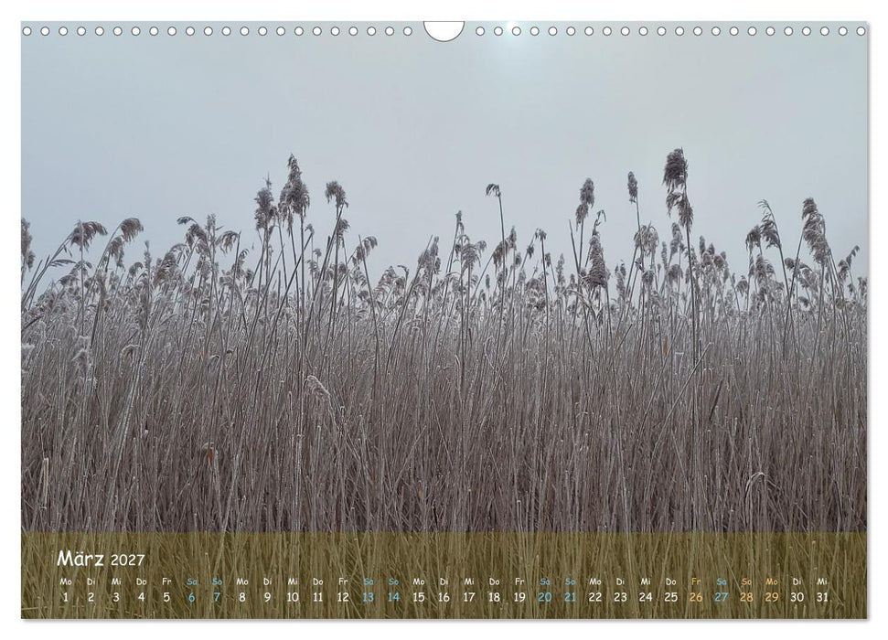 "Moorträume - Naturschönheit in Bildern" (CALVENDO Wandkalender 2027)