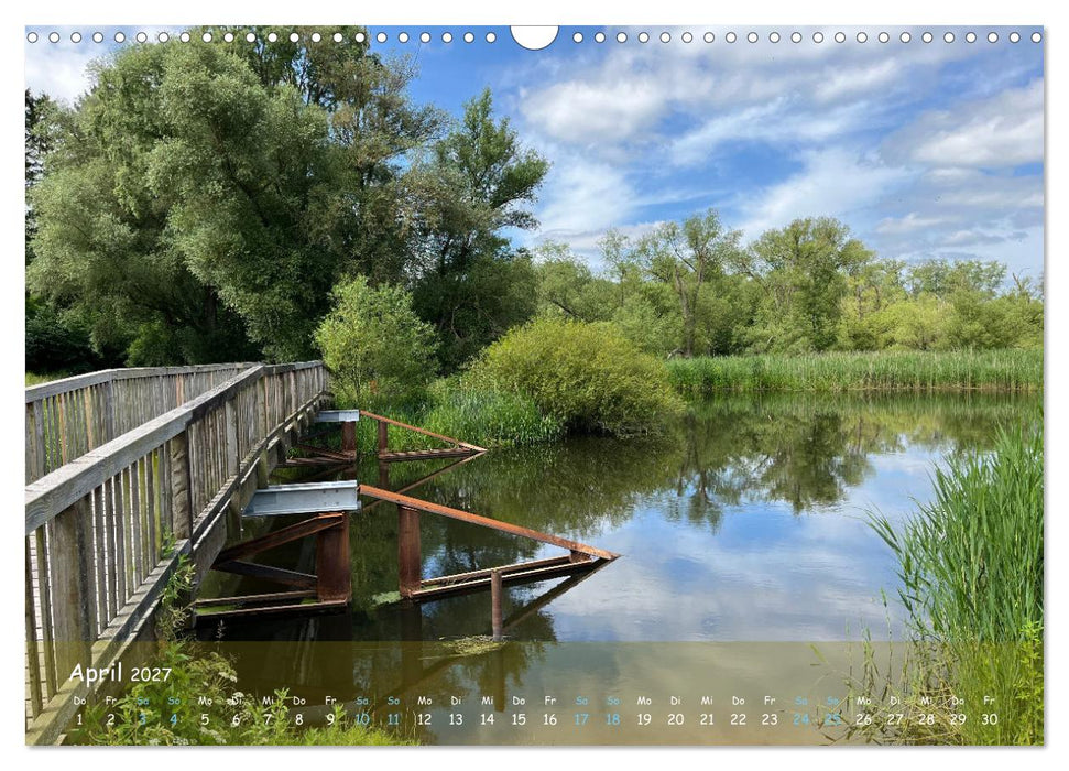 "Moorträume - Naturschönheit in Bildern" (CALVENDO Wandkalender 2027)