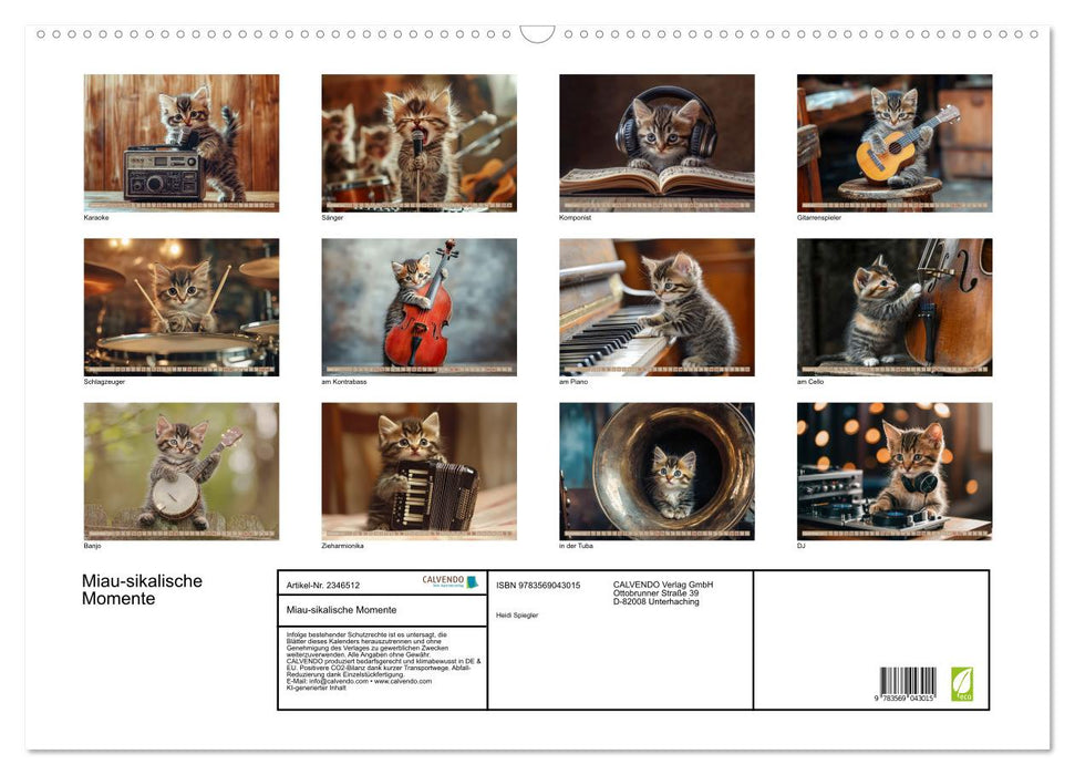 Miau-sikalische Momente (CALVENDO Wandkalender 2027)