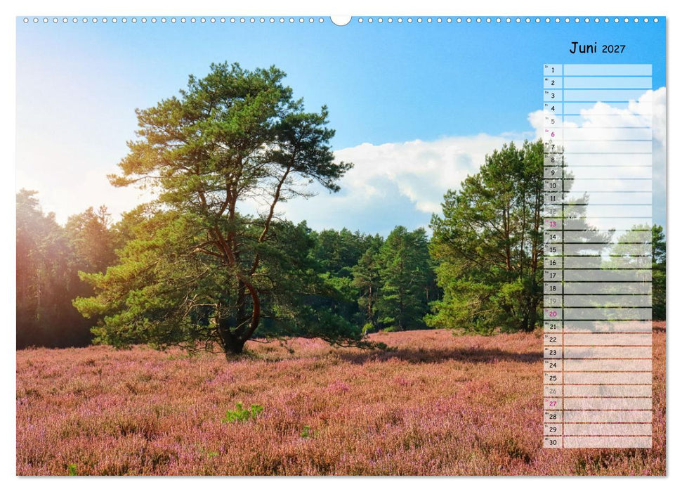 Heidespaziergang (CALVENDO Premium Wandkalender 2027)