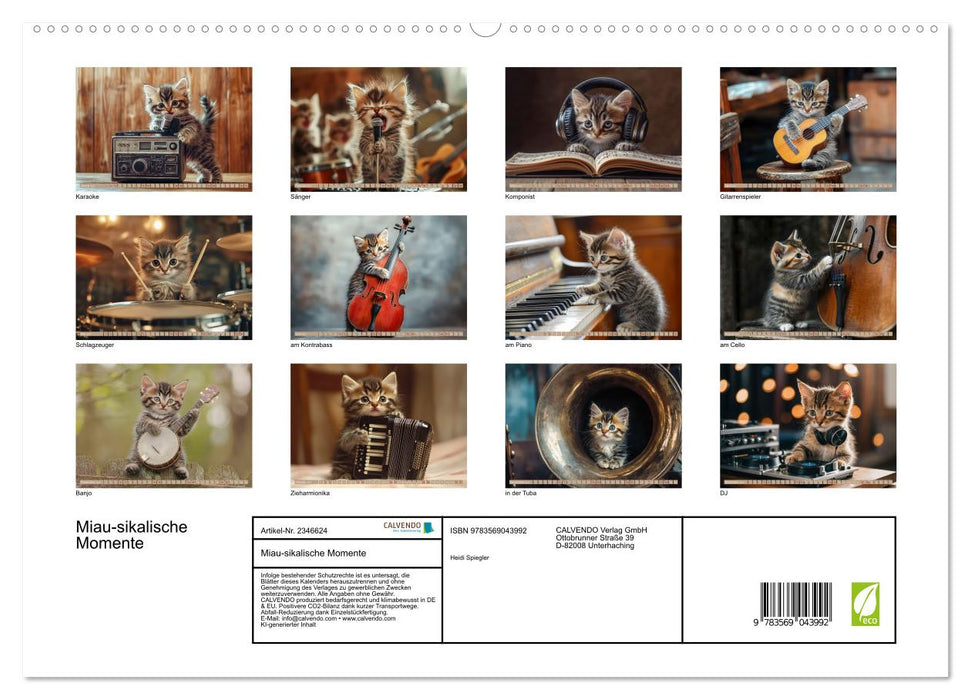 Miau-sikalische Momente (CALVENDO Premium Wandkalender 2027)