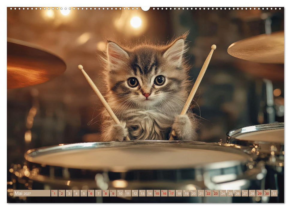 Miau-sikalische Momente (CALVENDO Premium Wandkalender 2027)