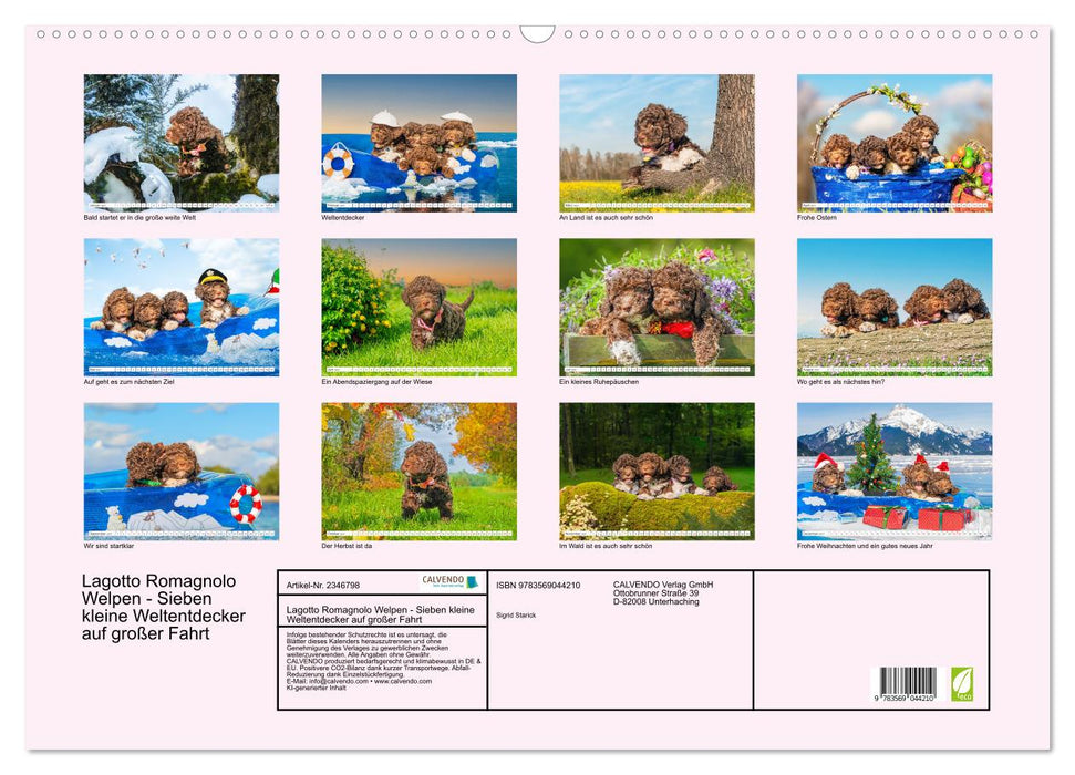 Lagotto Romagnolo Welpen - Sieben kleine Weltentdecker auf großer Fahrt (CALVENDO Wandkalender 2027)
