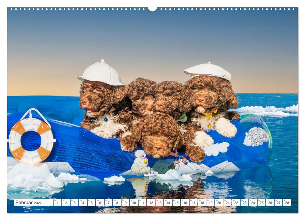 Lagotto Romagnolo Welpen - Sieben kleine Weltentdecker auf großer Fahrt (CALVENDO Wandkalender 2027)