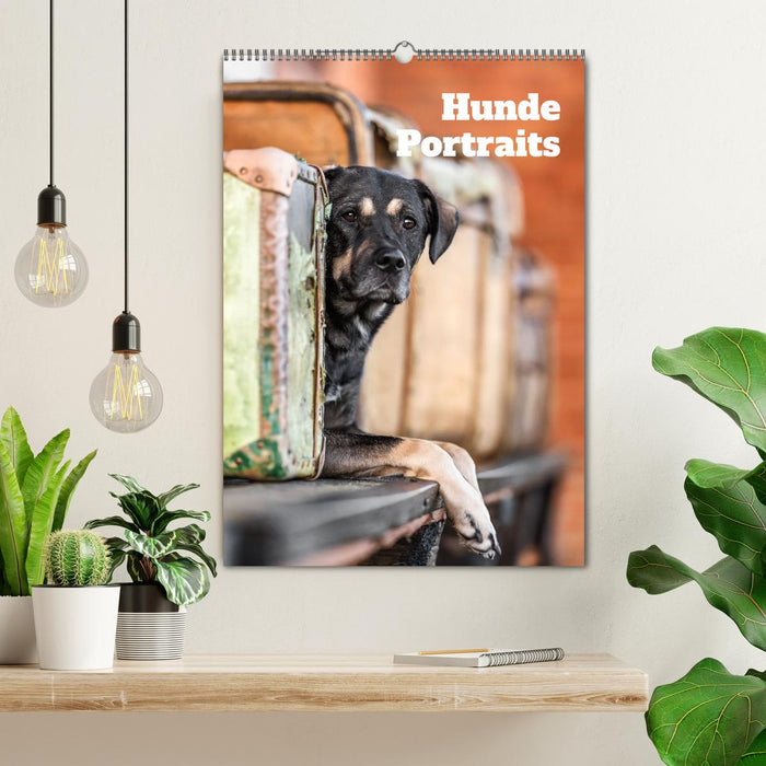 Hundeportraits - Monatskalender (CALVENDO Wandkalender 2027)