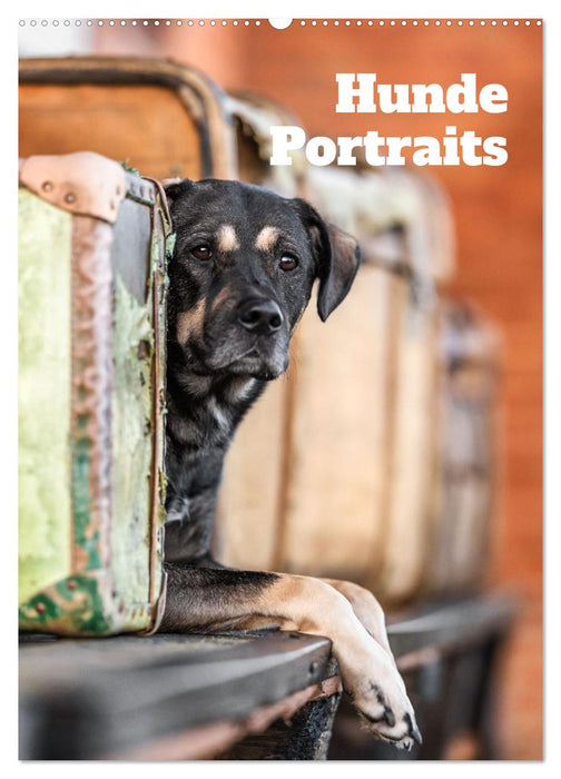Hundeportraits - Monatskalender (CALVENDO Wandkalender 2027)
