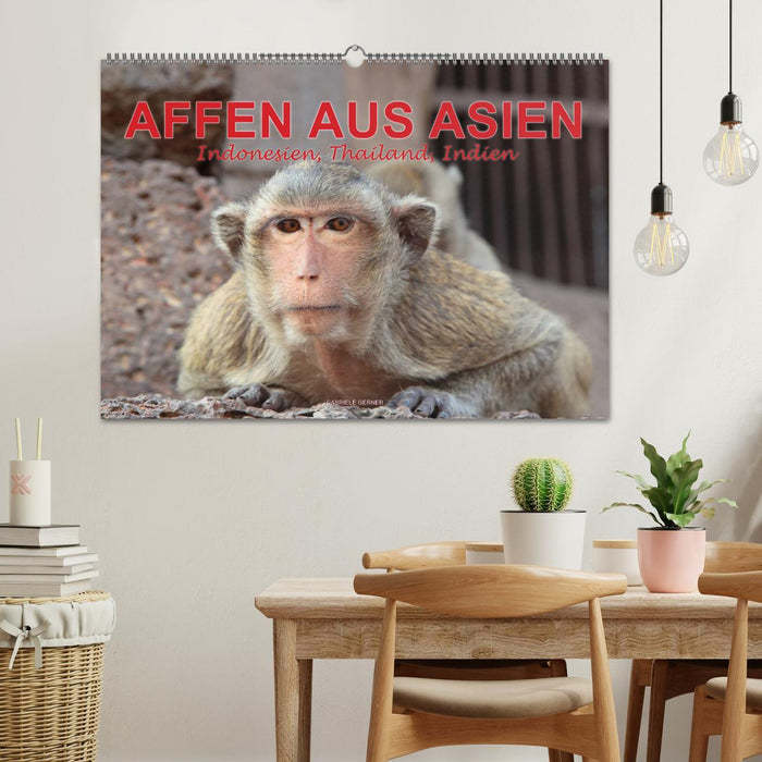 AFFEN AUS ASIEN Indonesien, Thailand, Indien (CALVENDO Wandkalender 2027)