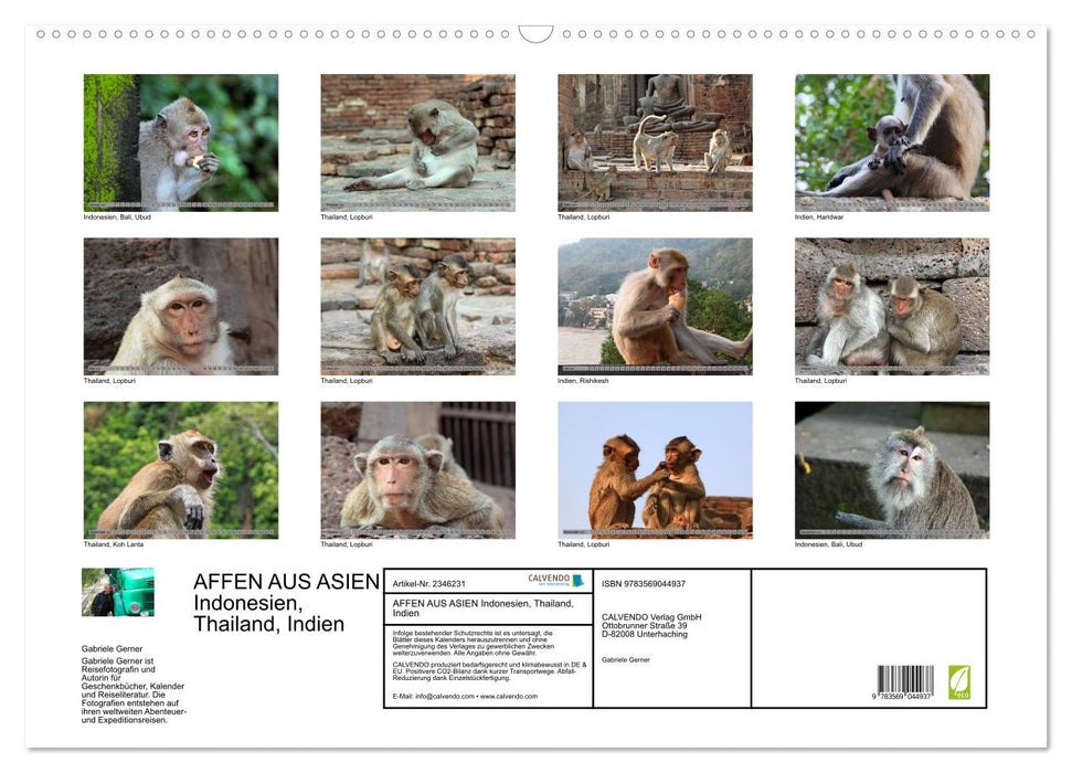 AFFEN AUS ASIEN Indonesien, Thailand, Indien (CALVENDO Wandkalender 2027)