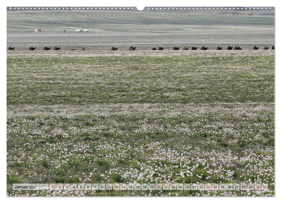 Nord-Gobi (CALVENDO Wandkalender 2027)