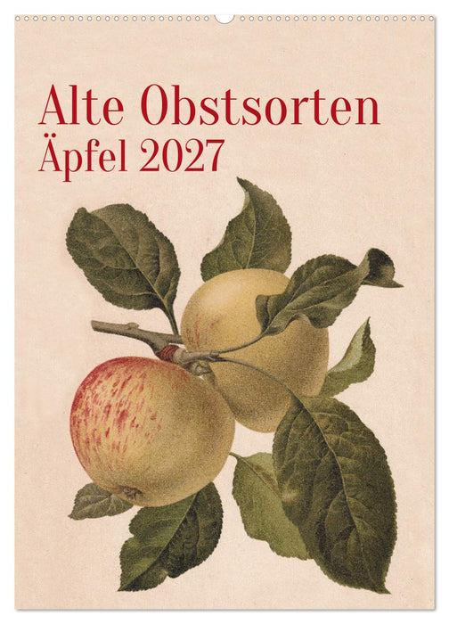 Alte Obstsorten - Äpfel 2027 (CALVENDO Wandkalender 2027)