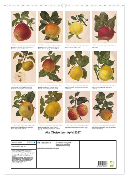 Alte Obstsorten - Äpfel 2027 (CALVENDO Wandkalender 2027)