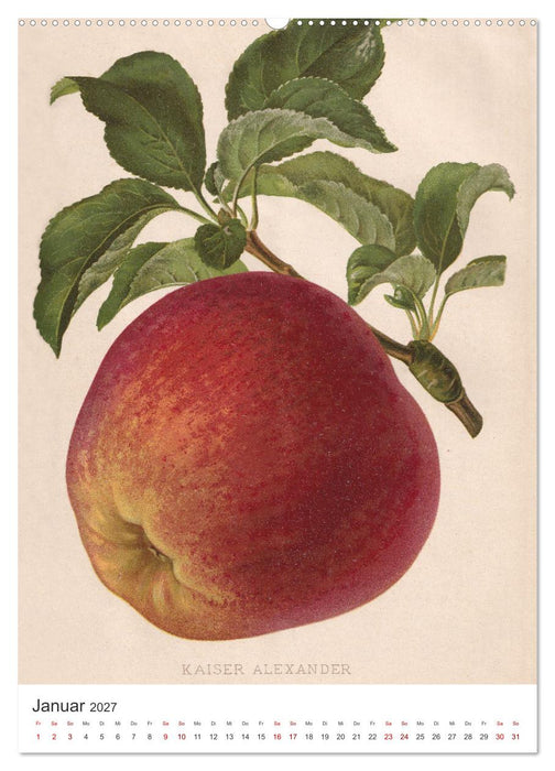 Alte Obstsorten - Äpfel 2027 (CALVENDO Wandkalender 2027)