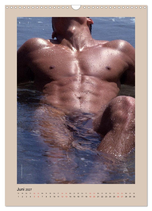 Torso - Männer 2027 (CALVENDO Wandkalender 2027)