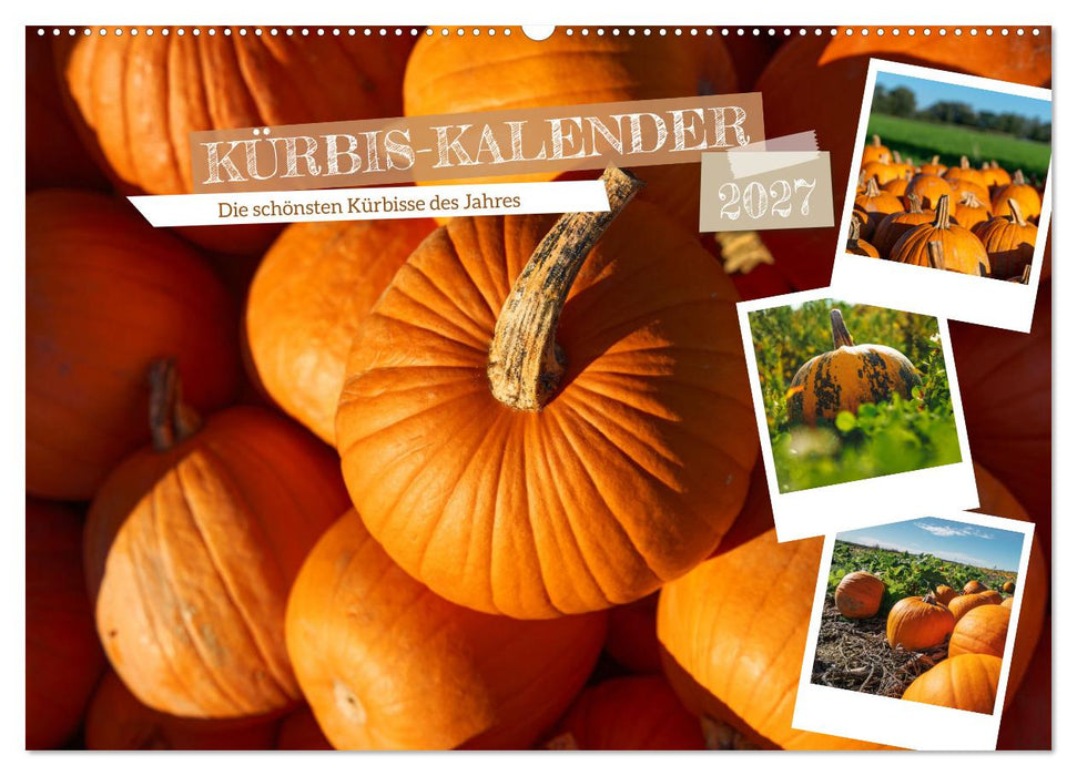 KÜRBIS KALENDER - Die schönsten Kürbisse des Jahres (CALVENDO Wandkalender 2027)