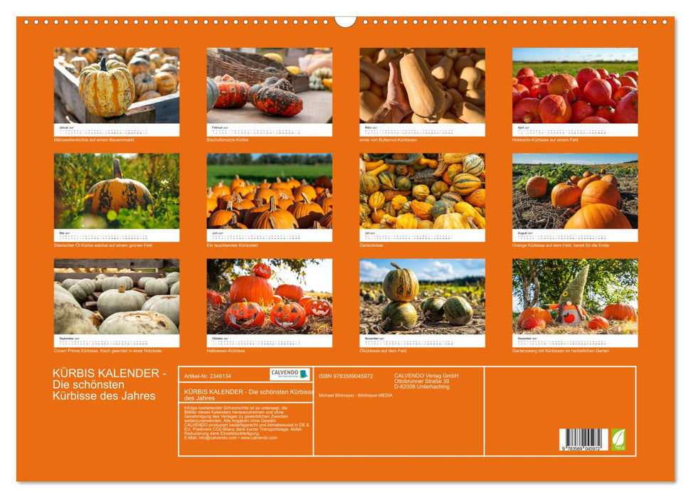 KÜRBIS KALENDER - Die schönsten Kürbisse des Jahres (CALVENDO Wandkalender 2027)