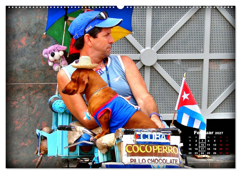Fahrrad-Händler - Handel und Wandel in Havanna (CALVENDO Wandkalender 2027)