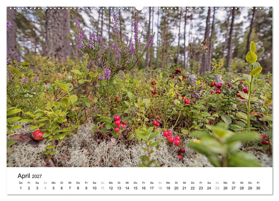 Schweden - Die Highlights von Småland bis zur Westküste (CALVENDO Premium Wandkalender 2027)