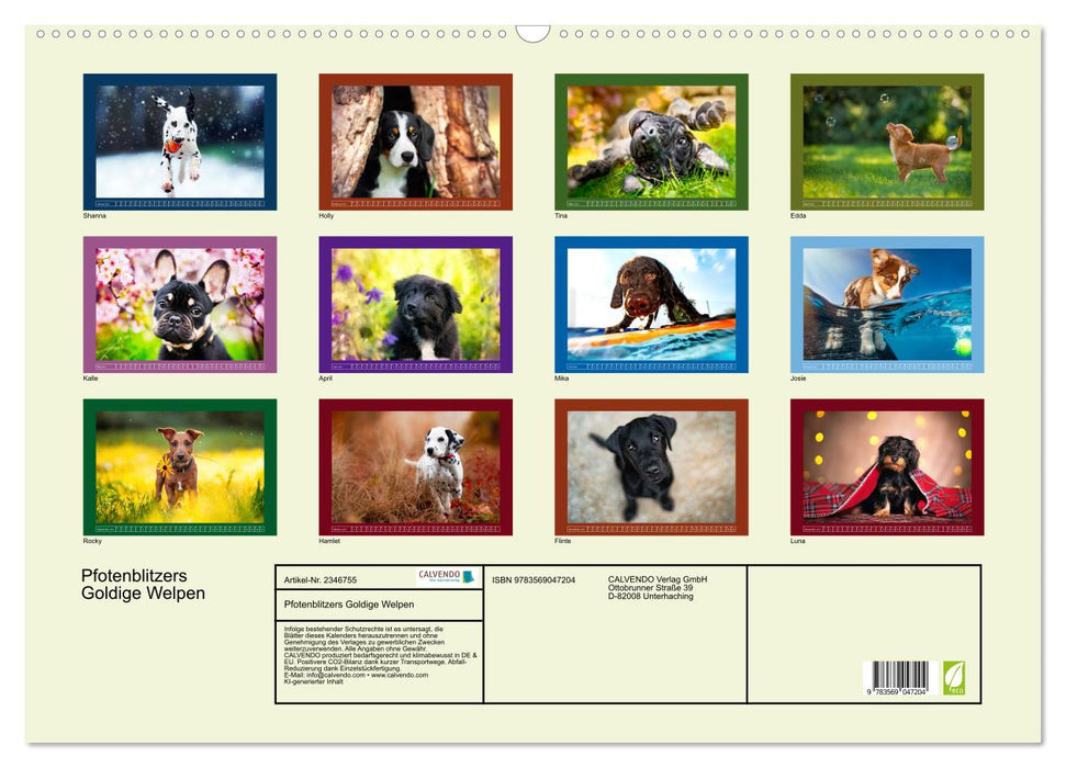 Pfotenblitzers Goldige Welpen (CALVENDO Wandkalender 2027)