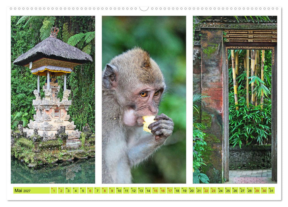 Farbenfrohes aus Asien (CALVENDO Premium Wandkalender 2027)