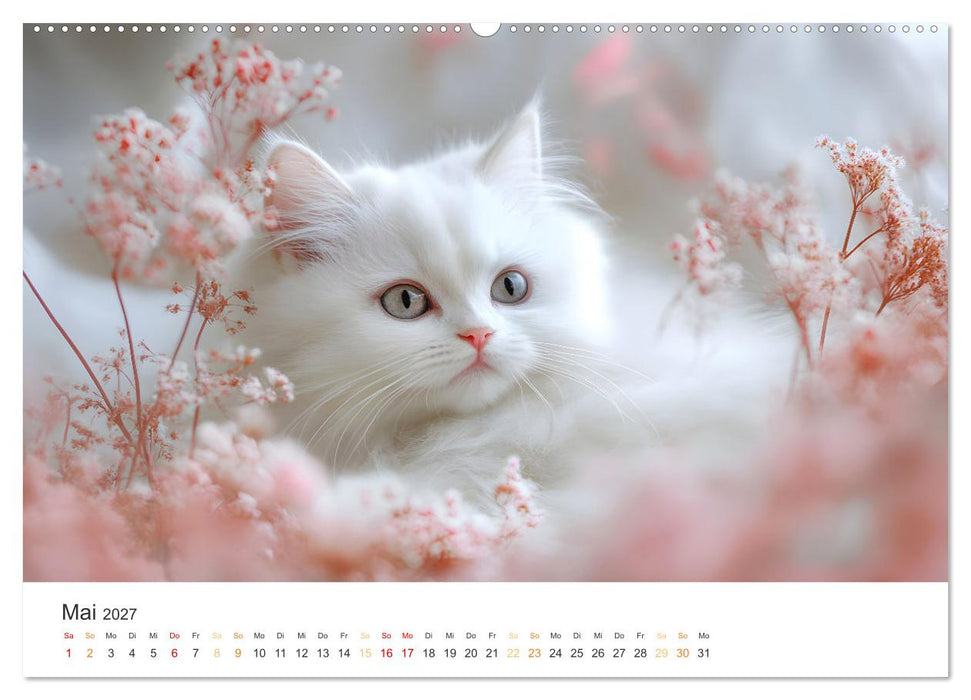 Katzen - sanfte Schönheiten (CALVENDO Wandkalender 2027)