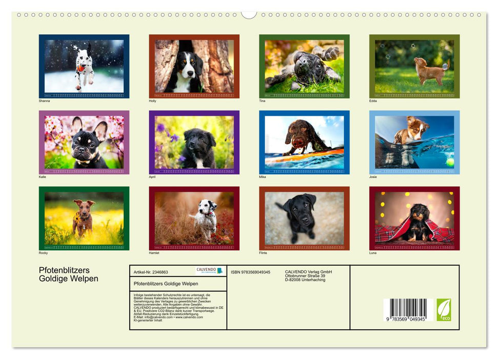 Pfotenblitzers Goldige Welpen (CALVENDO Premium Wandkalender 2027)