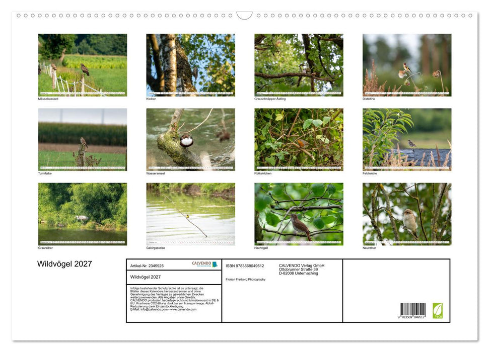 Wildvögel 2027 (CALVENDO Wandkalender 2027)