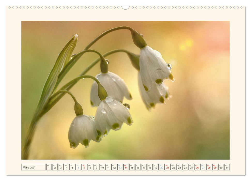 Unterwegs im Filstal (CALVENDO Wandkalender 2027)