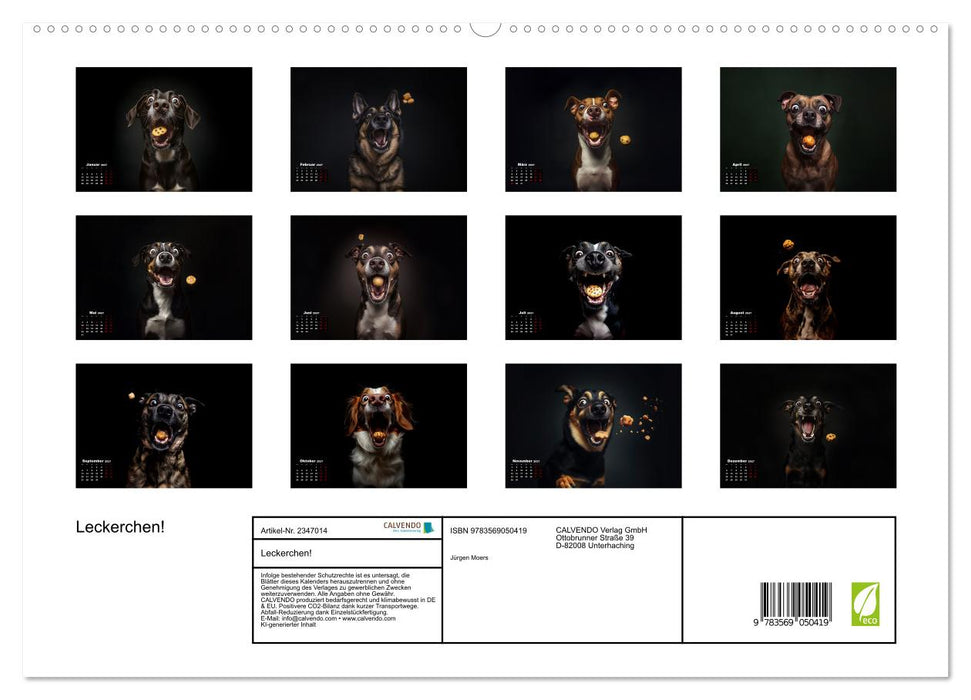 Leckerchen! (CALVENDO Premium Wandkalender 2027)