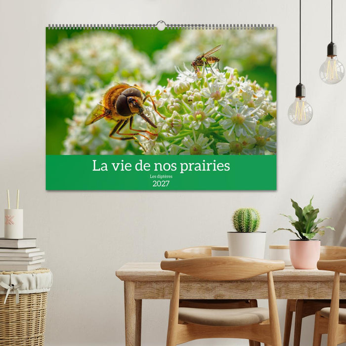 La vie de nos prairies - Les diptères (CALVENDO Calendrier mensuel 2027)