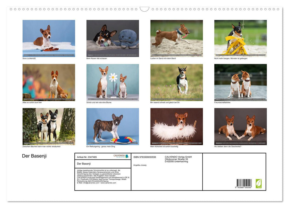Der Basenji (CALVENDO Wandkalender 2027)