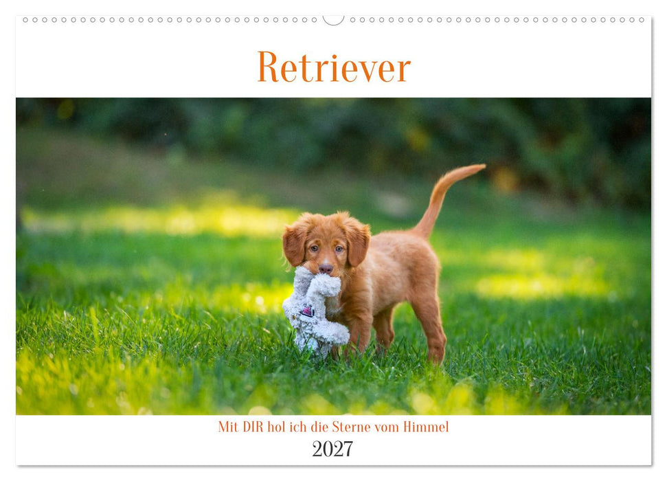 Retriever - Mit DIR hol ich die Sterne vom Himmel (CALVENDO Wandkalender 2027)