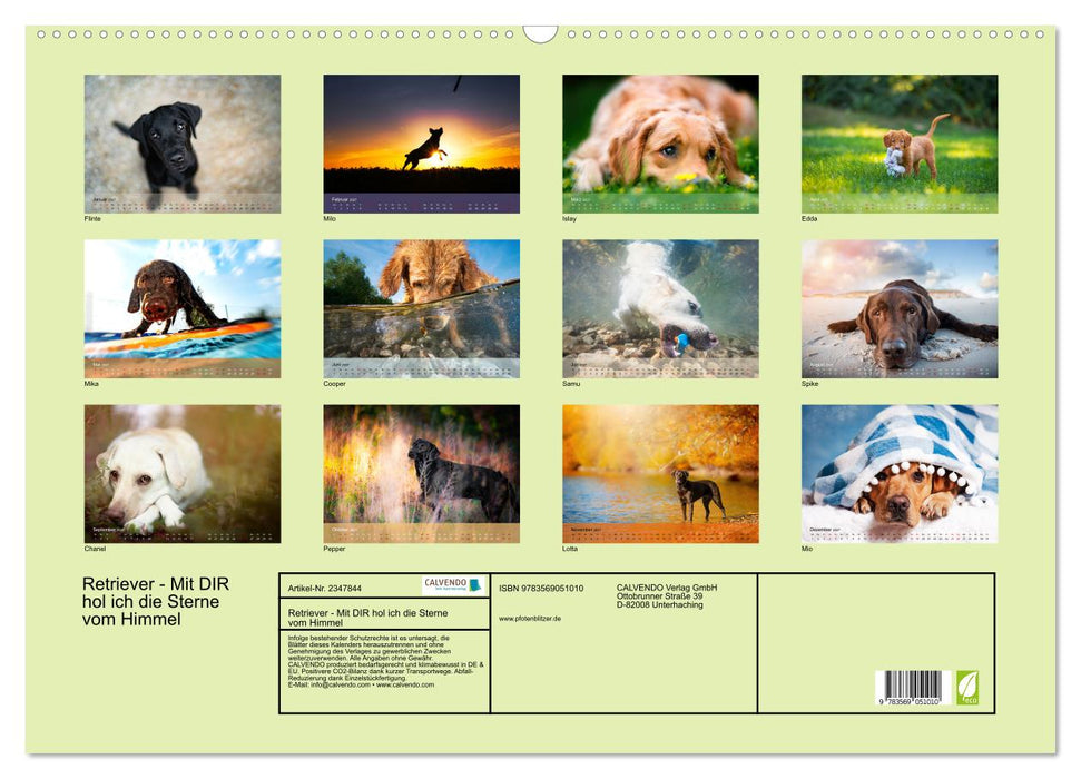 Retriever - Mit DIR hol ich die Sterne vom Himmel (CALVENDO Wandkalender 2027)