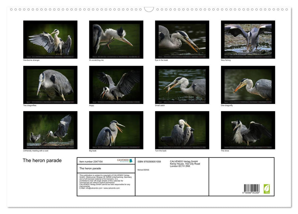The heron parade (CALVENDO Monthly Calendar 2027)